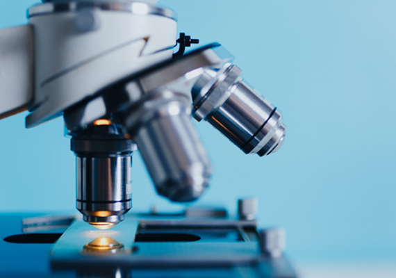 Research & Development